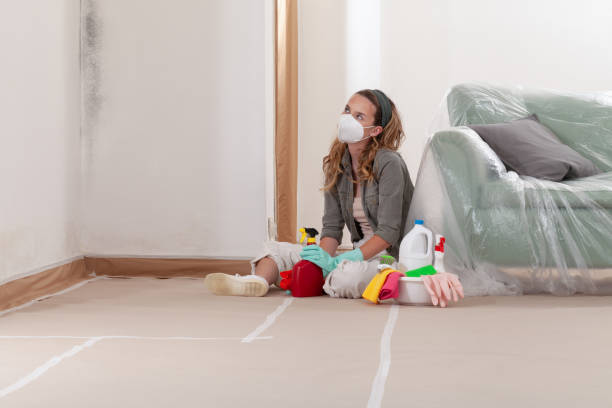Reliable Black Mold Removal contractor in Finksburg, MD by WQB Mold Removal